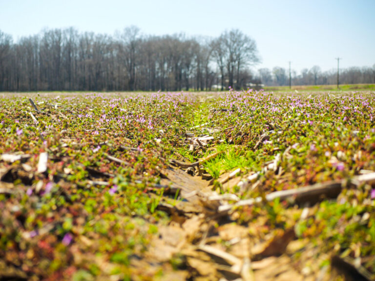 Carroll County, MS PhotosLeflore County, MS Photos-55