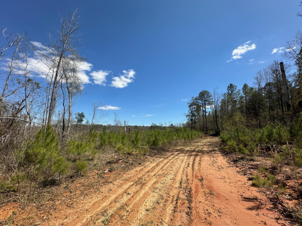 40 Acres, Attala County, MS – Backwoods Land Company