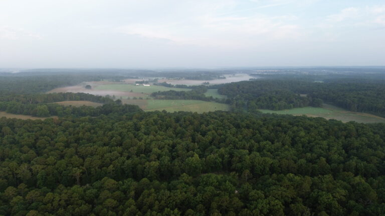 DCIM100MEDIADJI_0270