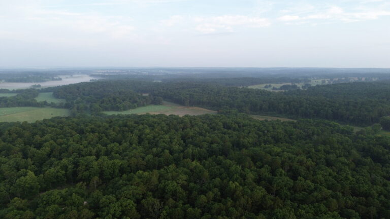 DCIM100MEDIADJI_0271