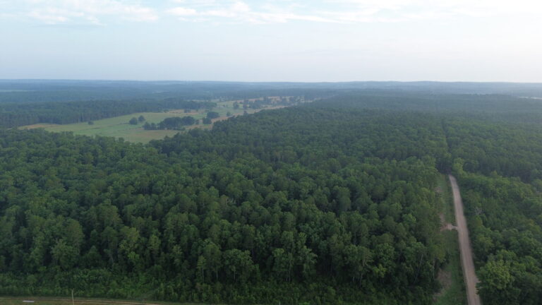 DCIM100MEDIADJI_0272