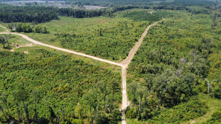 DCIM101MEDIADJI_0911