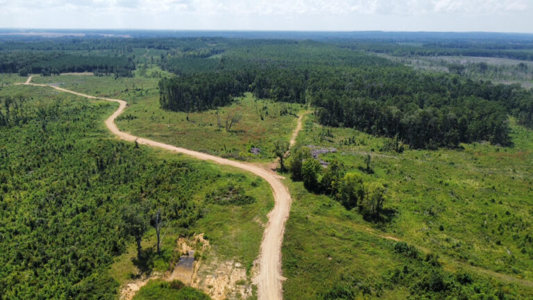 DCIM101MEDIADJI_0912