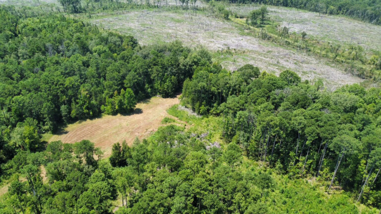 DCIM101MEDIADJI_0913