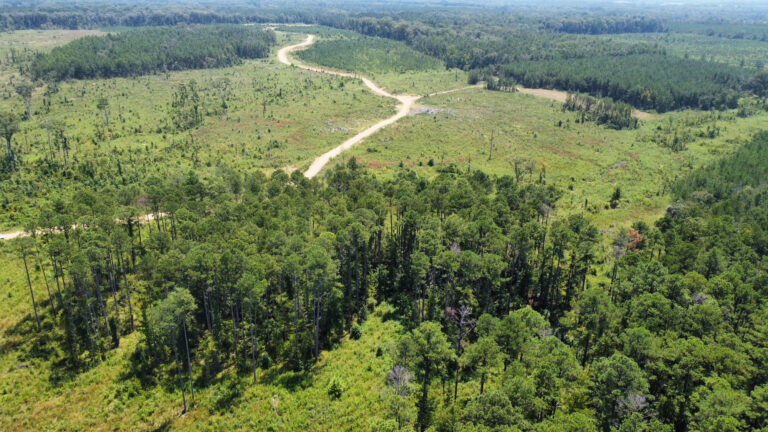 DCIM101MEDIADJI_0915