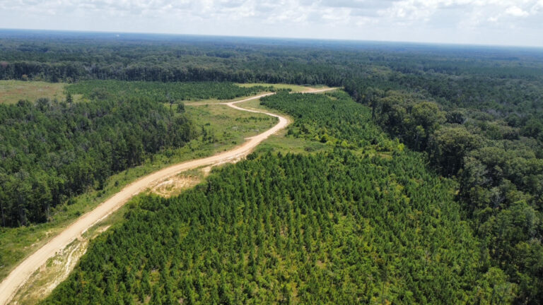 DCIM101MEDIADJI_0919