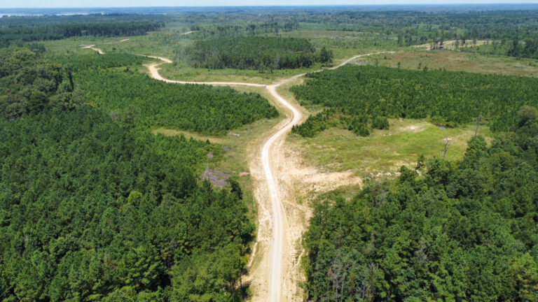 DCIM101MEDIADJI_0921