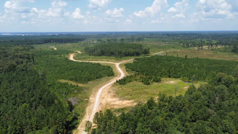 DCIM101MEDIADJI_0924