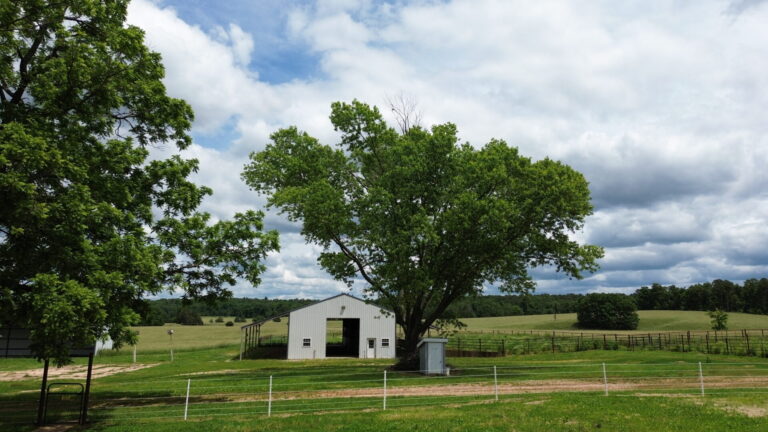 DCIM100MEDIADJI_0142