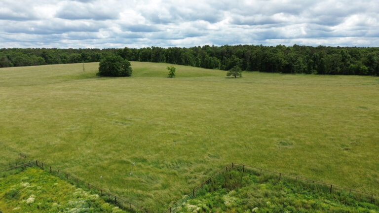 DCIM100MEDIADJI_0147