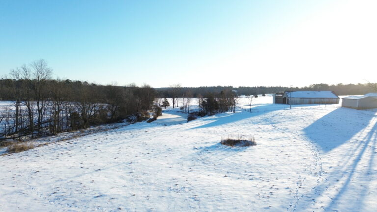 DCIM100MEDIADJI_0477