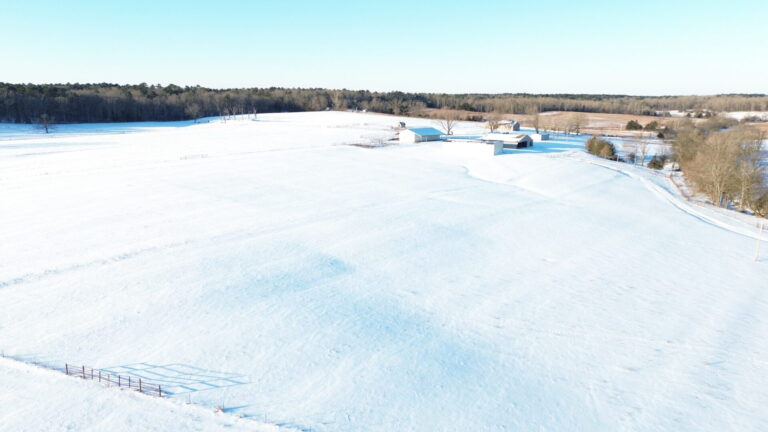 DCIM100MEDIADJI_0482