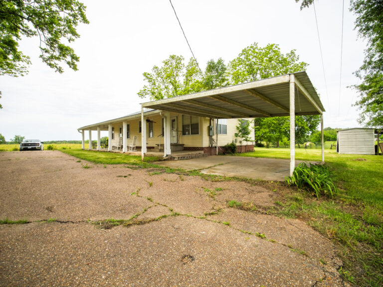 P1313161