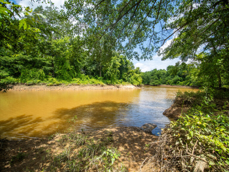 P1002547