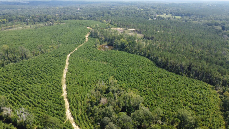 DCIM101MEDIADJI_0887