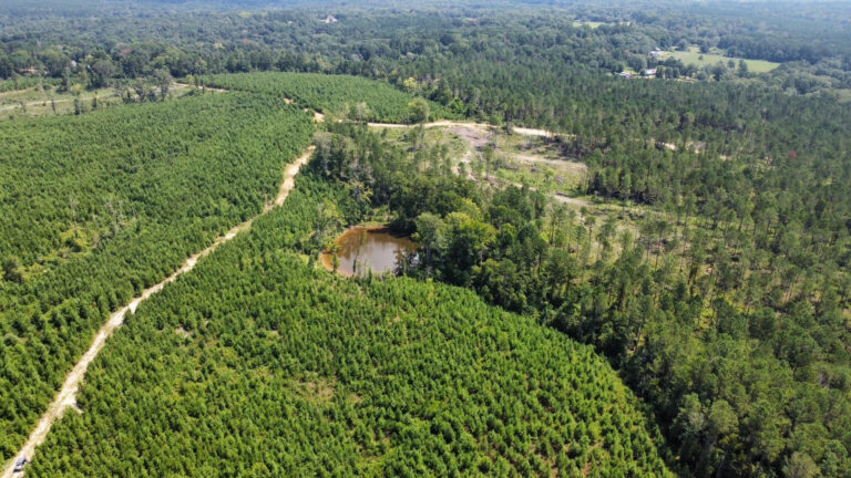 DCIM101MEDIADJI_0888