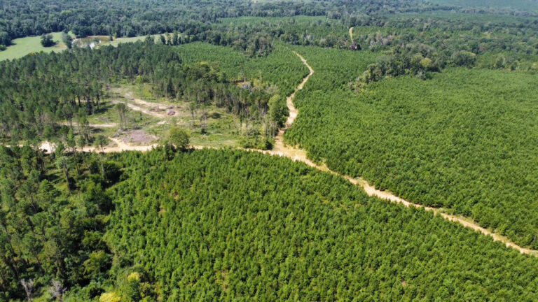 DCIM101MEDIADJI_0897