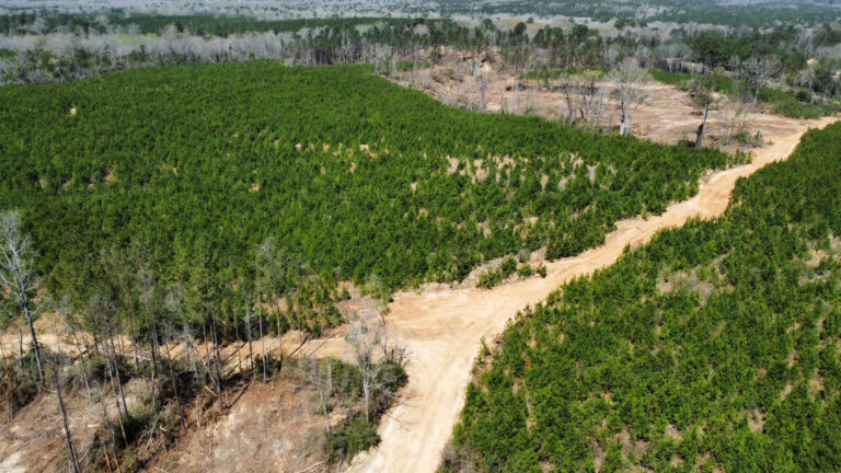 DCIM101MEDIADJI_0688