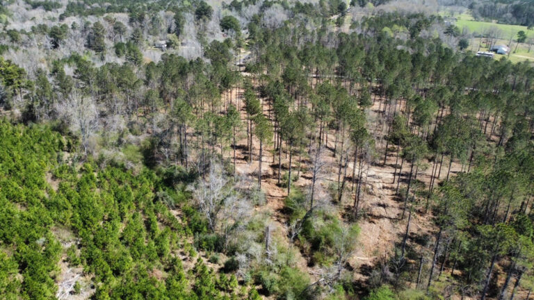 DCIM101MEDIADJI_0689