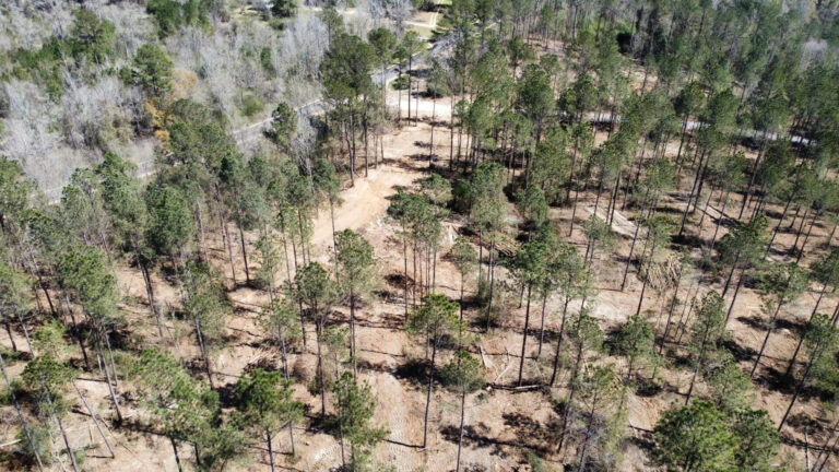 DCIM101MEDIADJI_0690