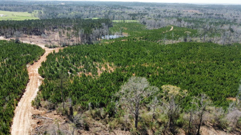 DCIM101MEDIADJI_0699