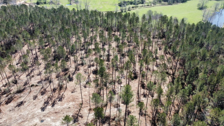 DCIM101MEDIADJI_0703