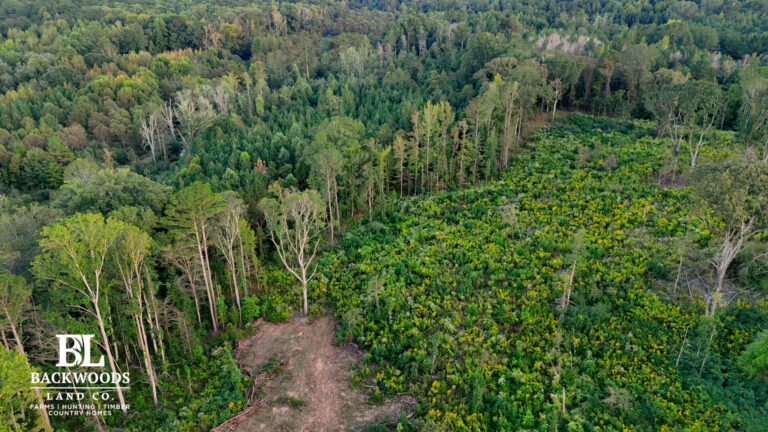 hayes leak county pics01