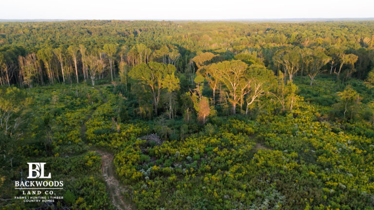 hayes leak county pics03