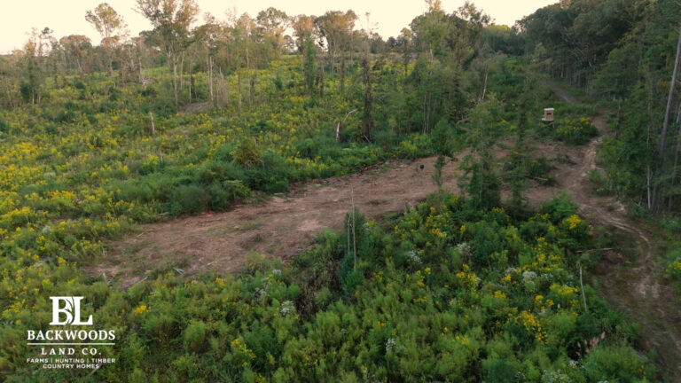 hayes leak county pics11