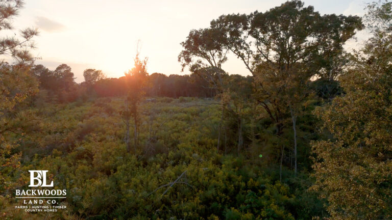 hayes leak county pics17