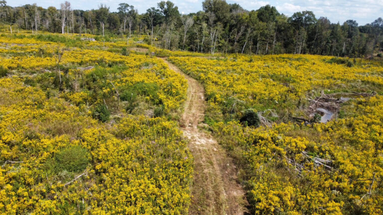 DCIM102MEDIADJI_0087