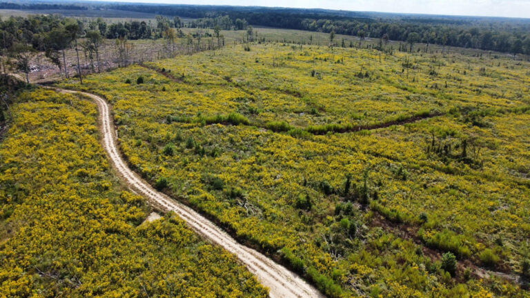 DCIM102MEDIADJI_0089