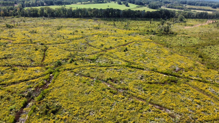 DCIM102MEDIADJI_0091