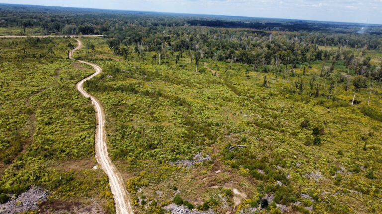 DCIM102MEDIADJI_0093