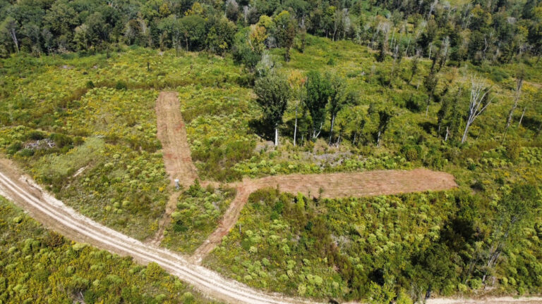 DCIM102MEDIADJI_0095