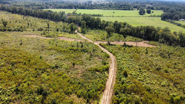 DCIM102MEDIADJI_0096