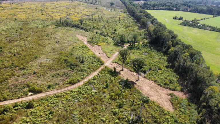 DCIM102MEDIADJI_0097