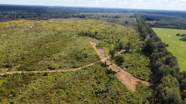 DCIM102MEDIADJI_0098