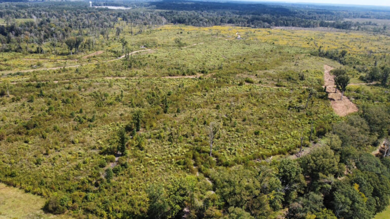 DCIM102MEDIADJI_0101