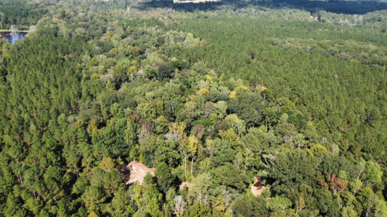 DCIM102MEDIADJI_0112