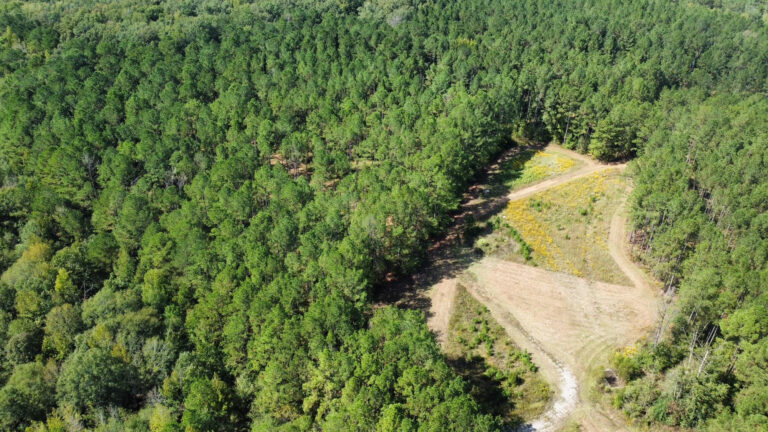 DCIM102MEDIADJI_0117