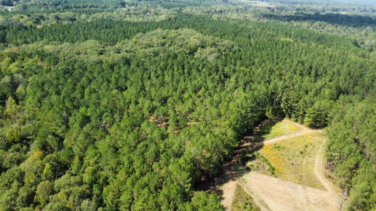 DCIM102MEDIADJI_0118