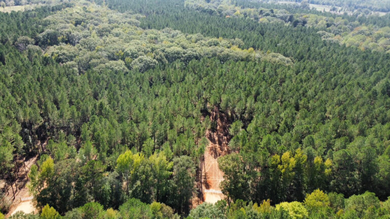 DCIM102MEDIADJI_0124