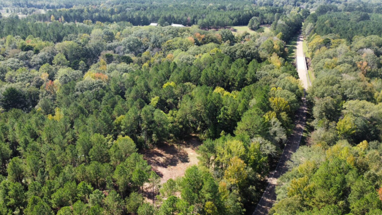 DCIM102MEDIADJI_0126