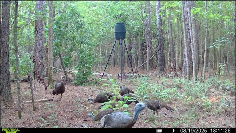 Screenshot 2025-10-28 103451