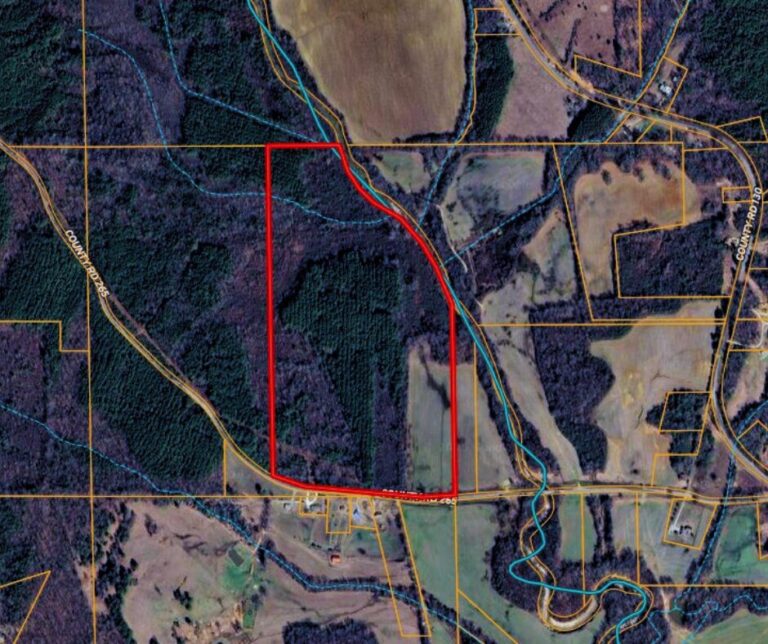 Untitled design(102)