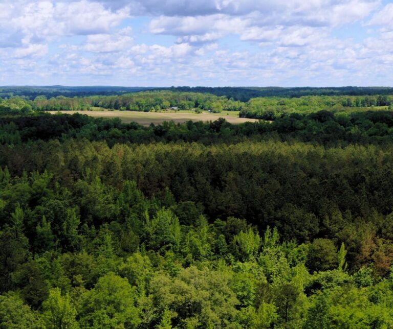 Untitled design(105)