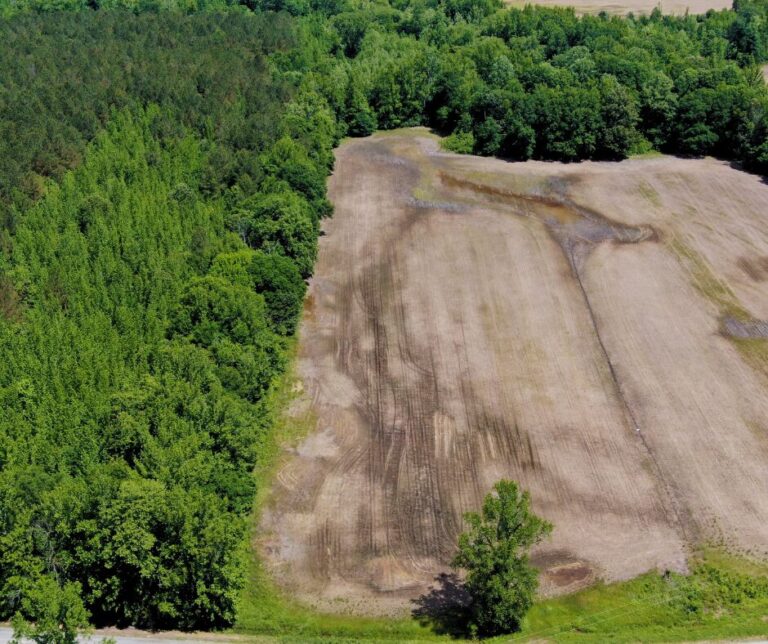 Untitled design(106)