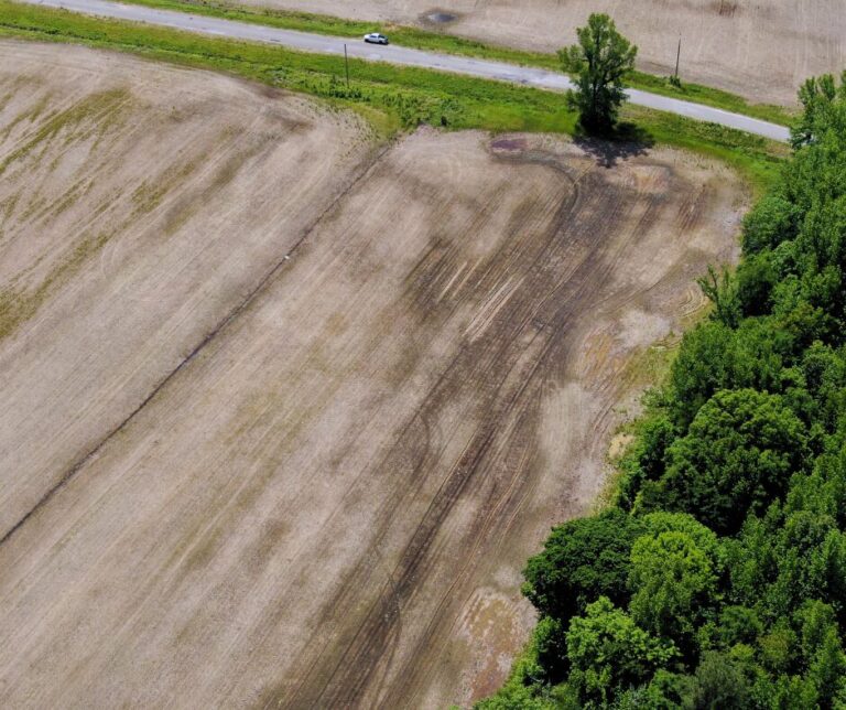 Untitled design(107)