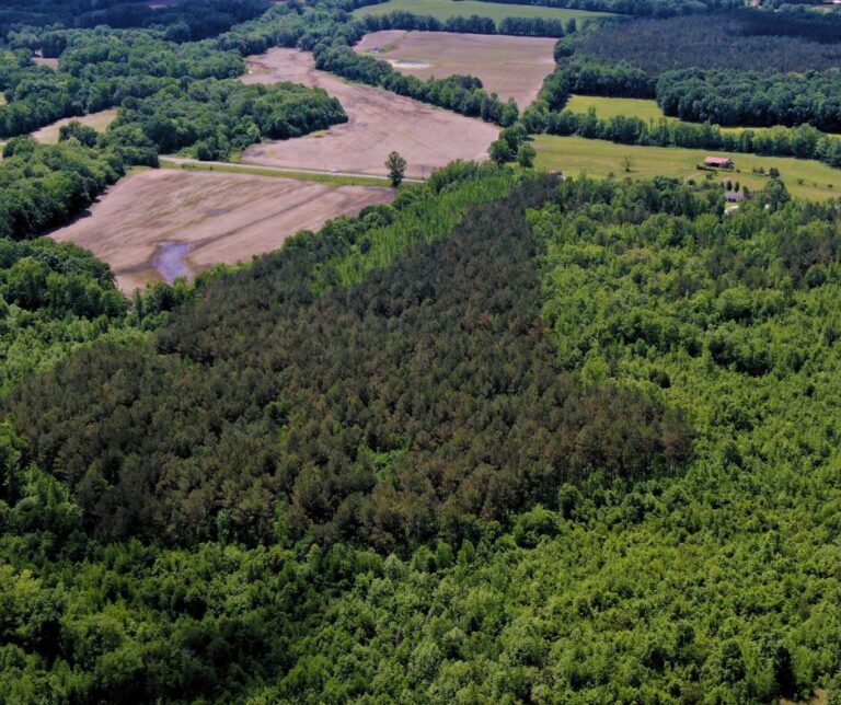 Untitled design(110)